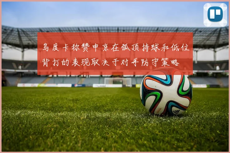 乌度卡称赞申京在弧顶持球和低位背打的表现取决于对手防守策略